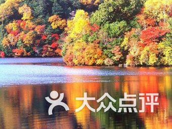 我在网上和一个人聊天我告诉他我15岁，高二，他告诉我他16岁，大二了，我居然突然觉得自己有点笨？游戏画面