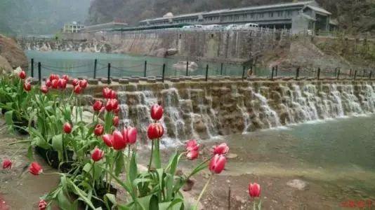 重庆对房产税进行调整 调高个人住房免税面积至180平方米