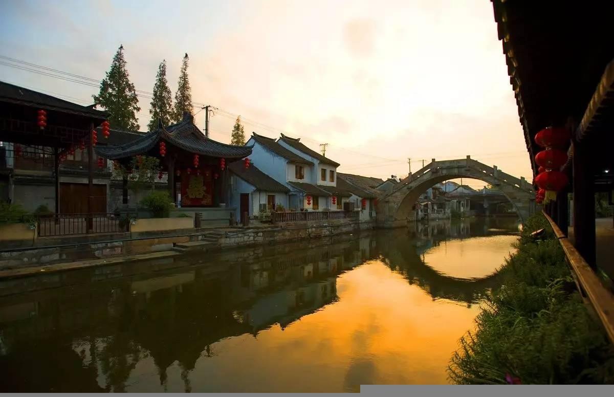 动物帮帮忙保卫家园